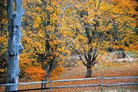 Edition for Week of October 7, 2013