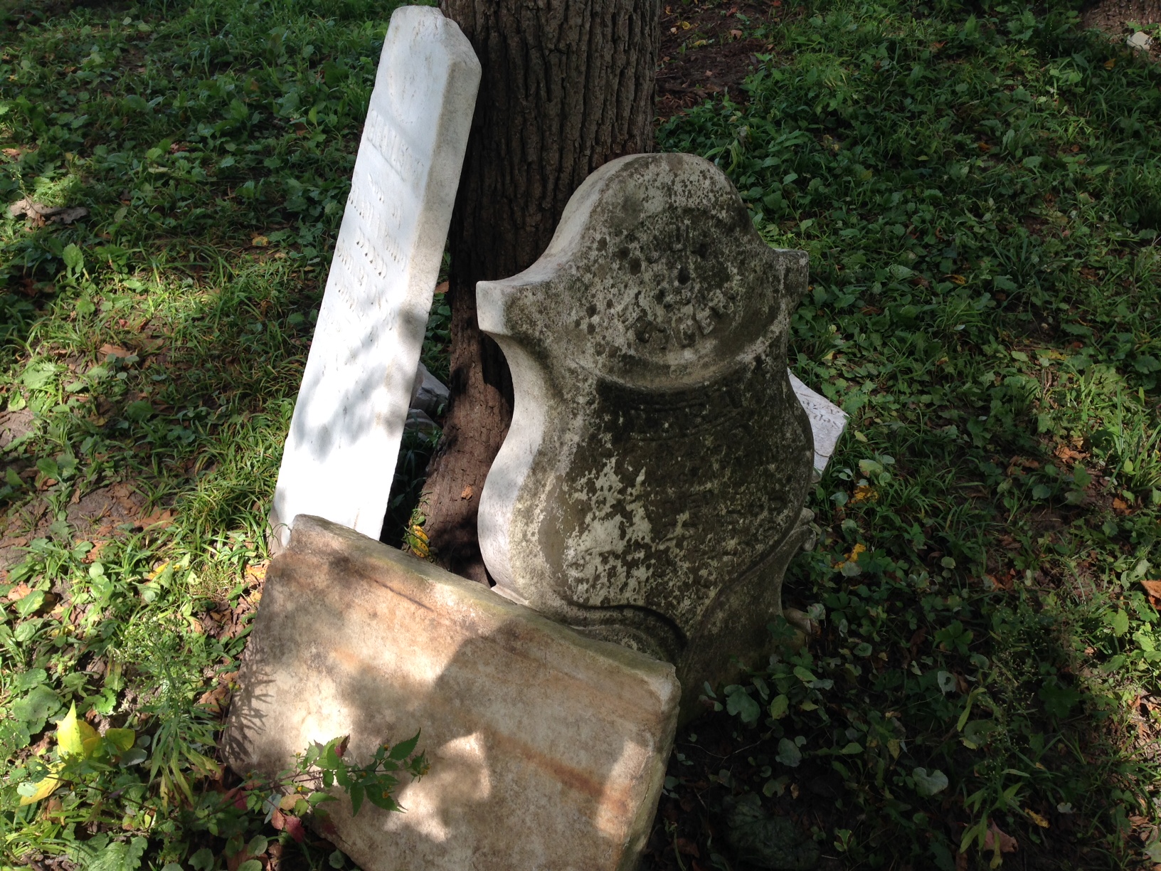 Progress at Potter Cemetery