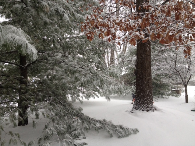 Edition for Week of January 6, 2014