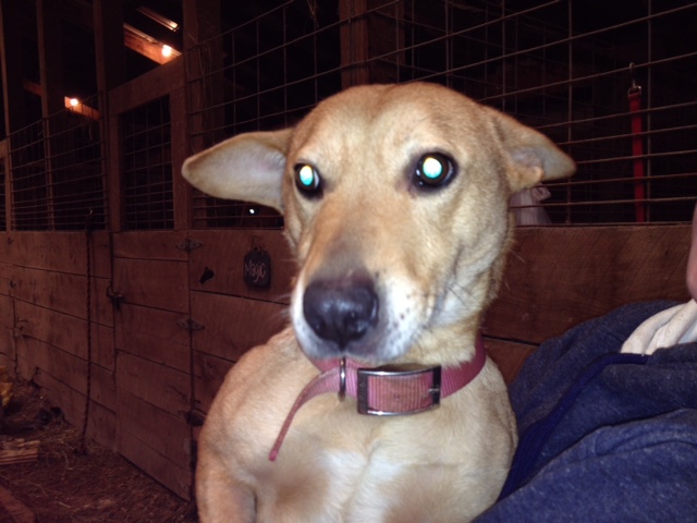 Edition for Week of February 17, 2014