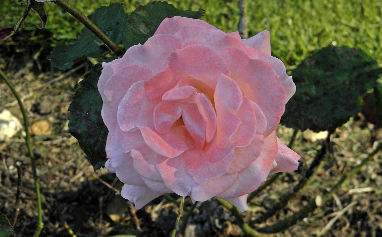 Cherish What You Have Right Now