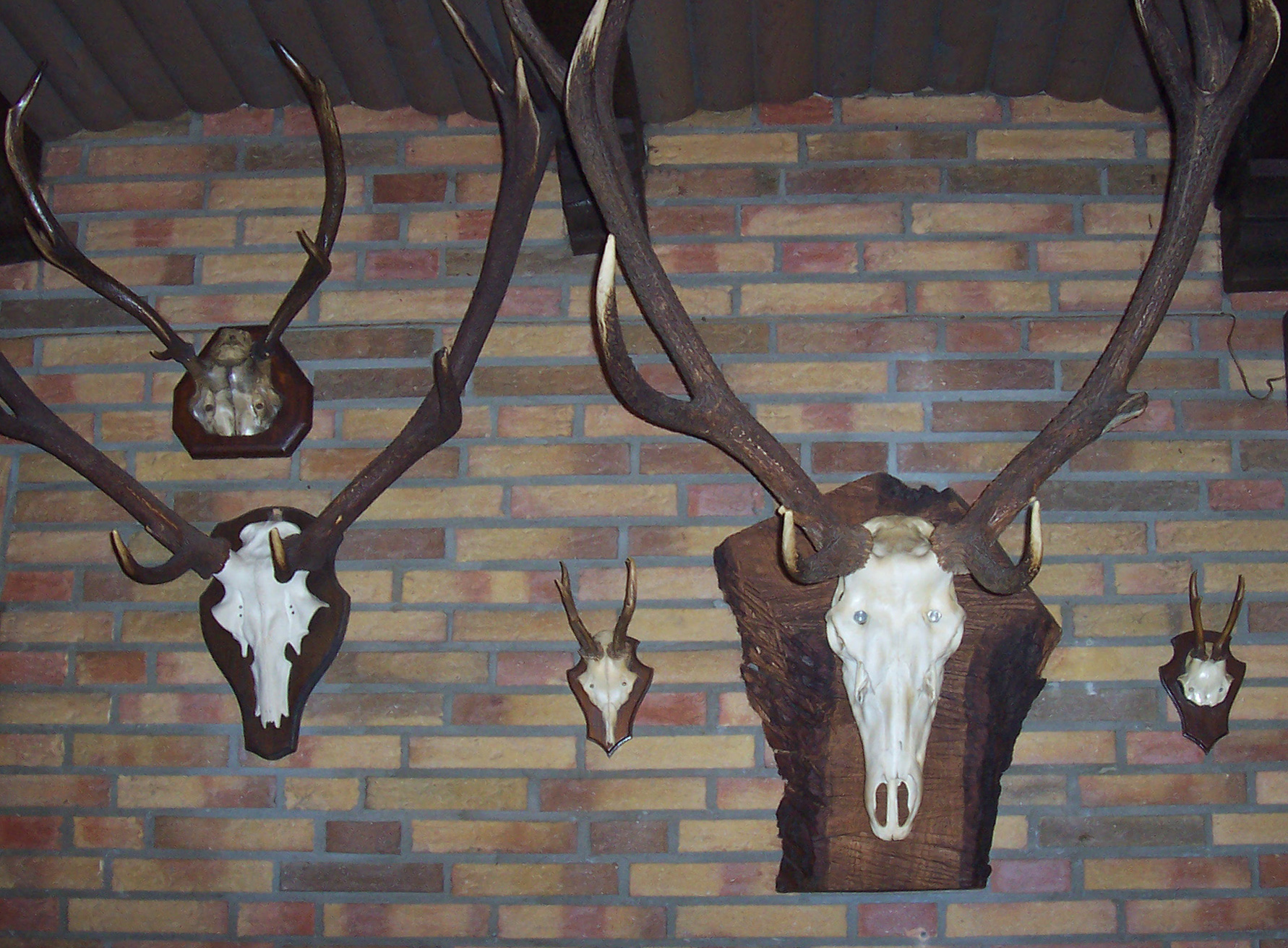 Uncommon Sense: For the Common Good, by Richard Lee