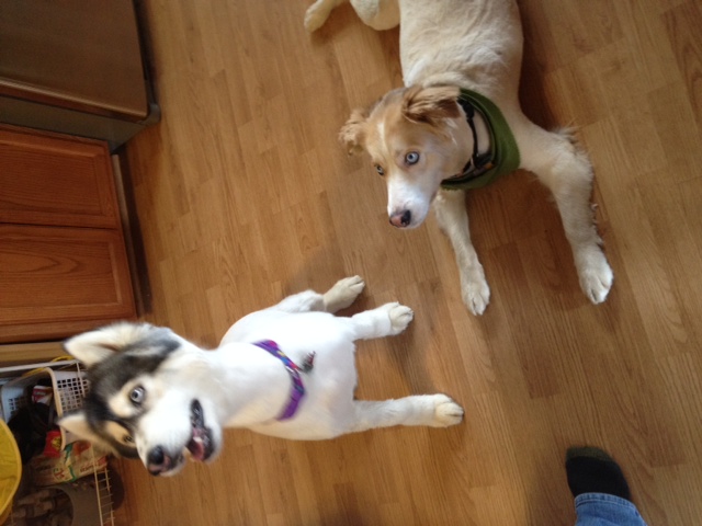 Edition for Week of April 28, 2014