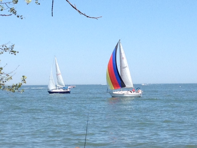 Edition for the Week of June 2, 2014