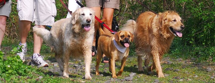 Edition for the Week of September 1, 2014