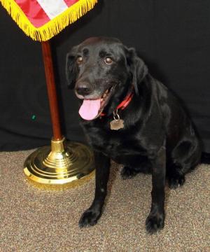 Edition for the Week of August 24, 2014