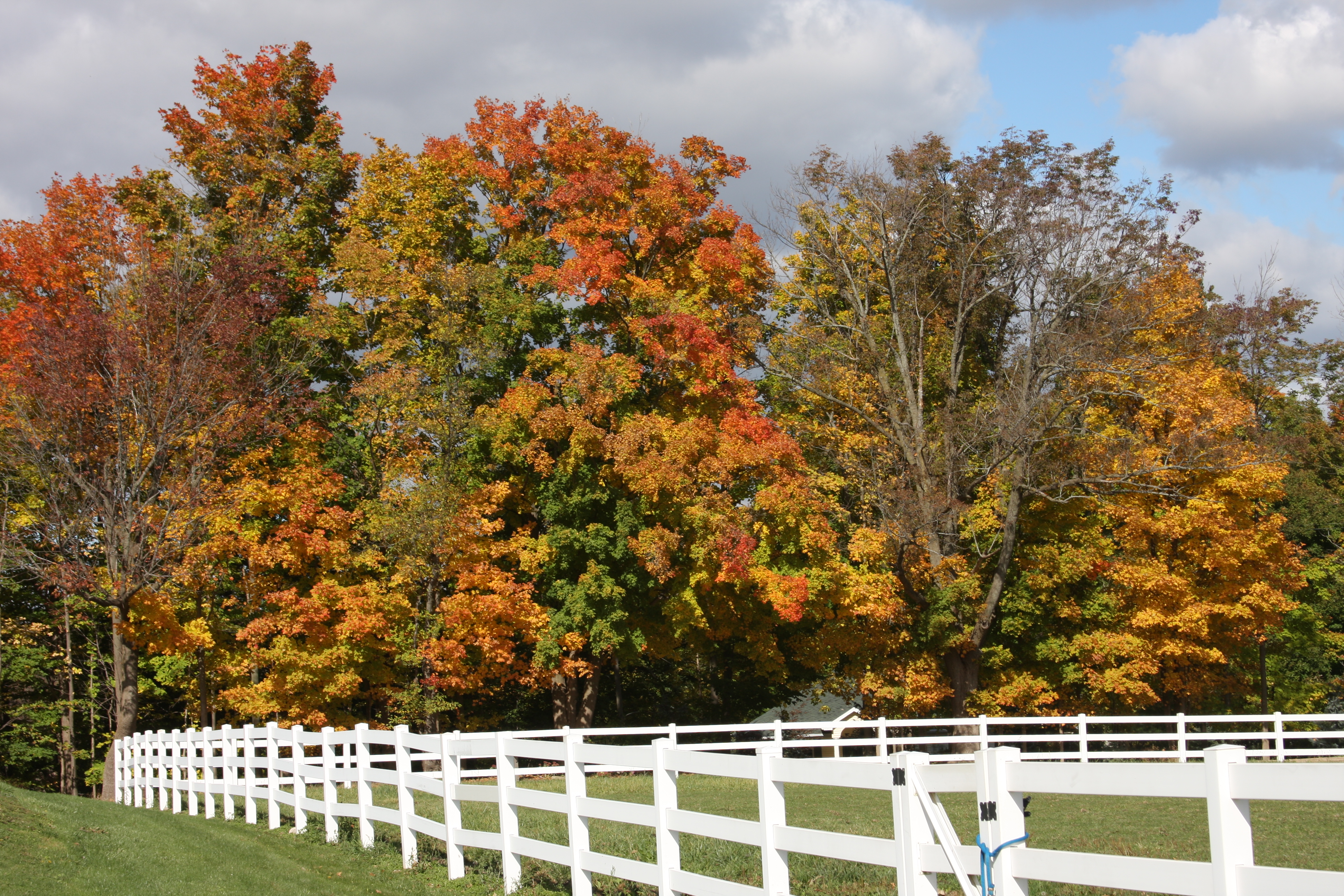 Edition for the Week of October 20, 2014