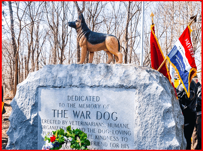 A Dog’s Life: The Michigan War Dog Memorial, by Rochelle Armbruster