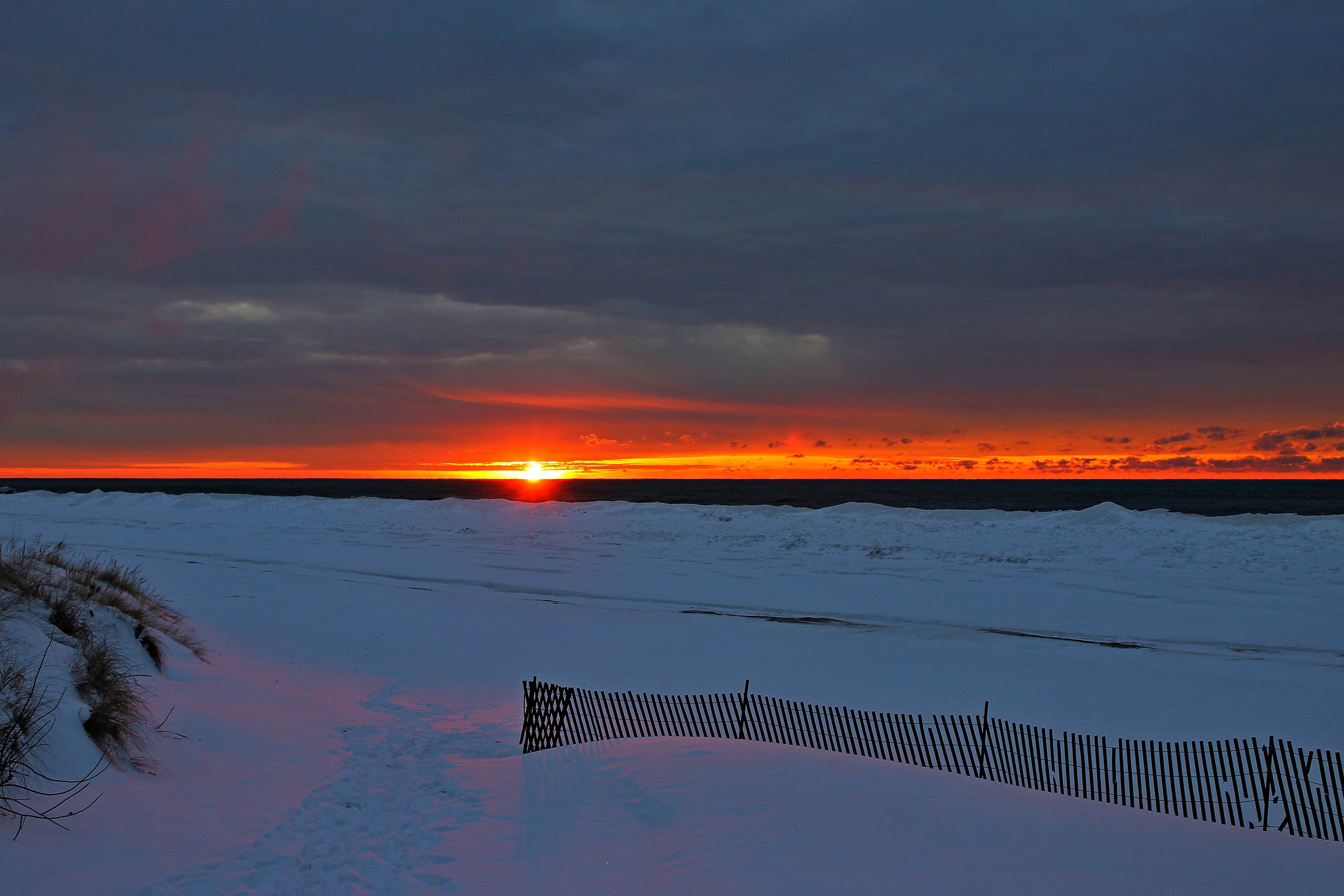 Edition for the Week of January 12, 2015