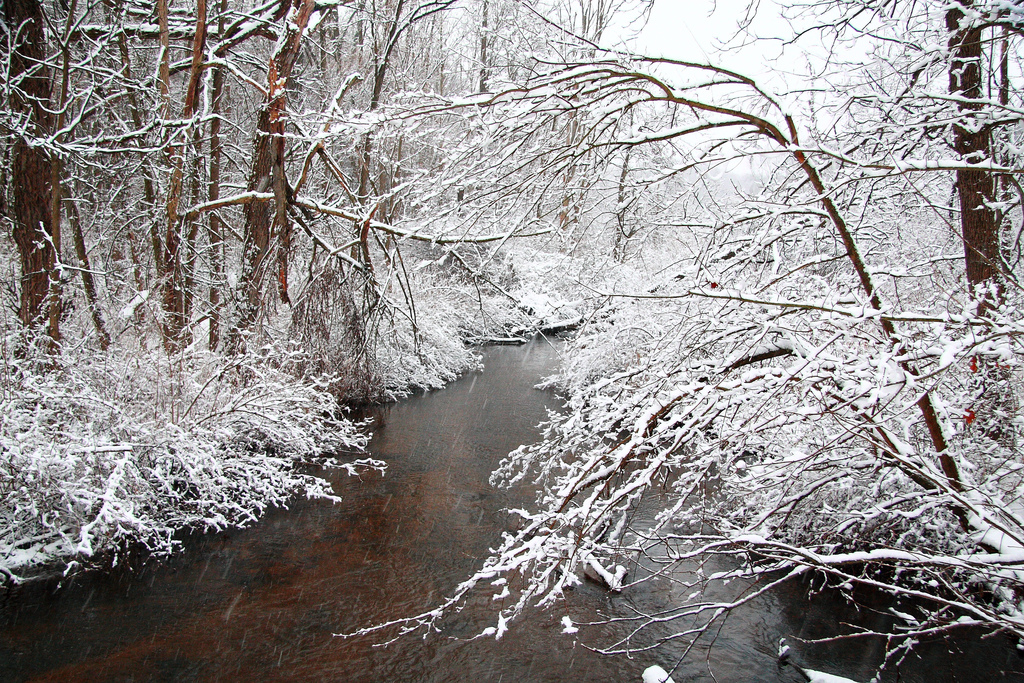 Edition for the Week of February 23, 2015